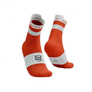 CS1-5141-1TW 虎百合橘